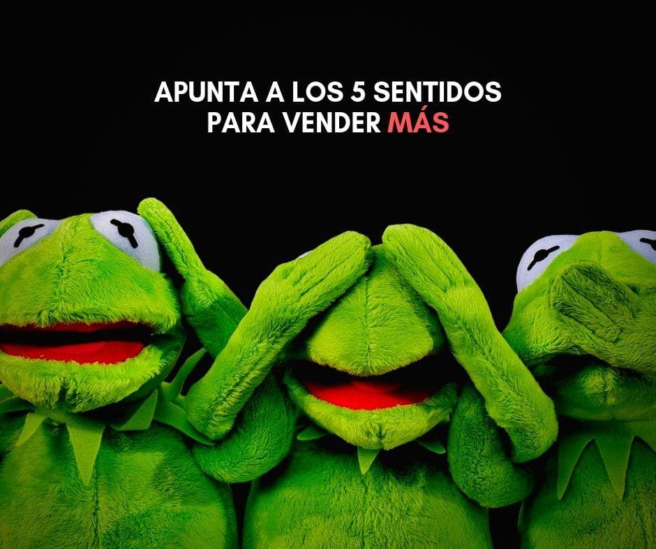 Lee más sobre el artículo Apunta a los 5 SENTIDOS para VENDER más